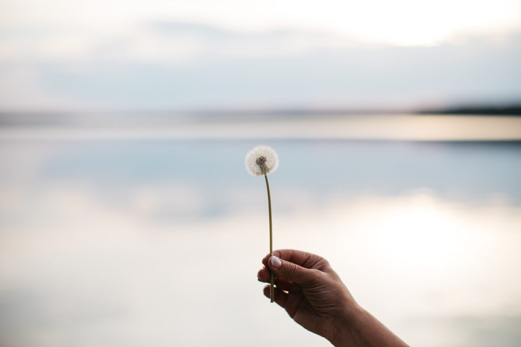 Dandelier AI tarjousten automatisointityökalu