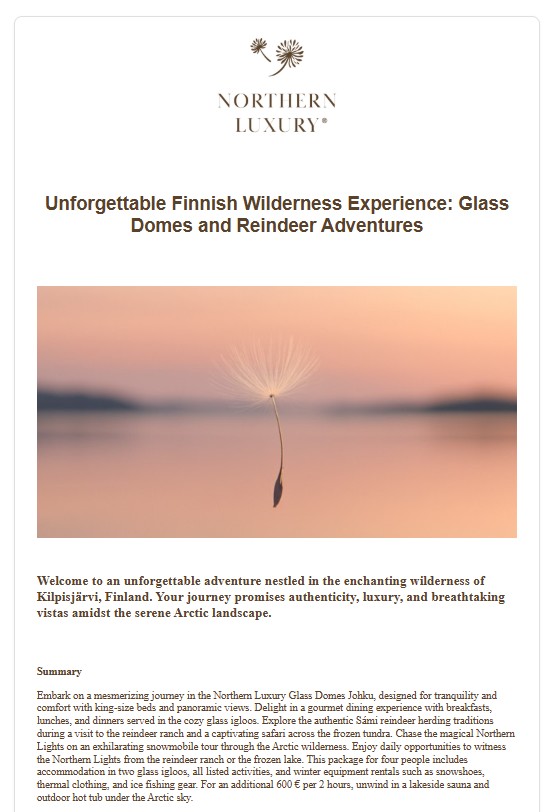 Dandelier AI visuaalinen tarjouspohja template